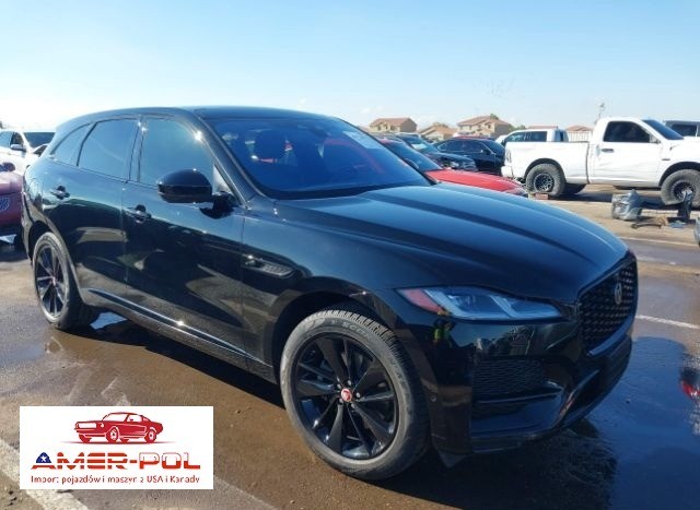 jaguar