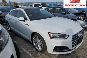 2019, 2.0L, 4x4, PREMIUM S LINE, od ubezpieczalni