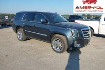 Premium Luxury 2019 6.2l