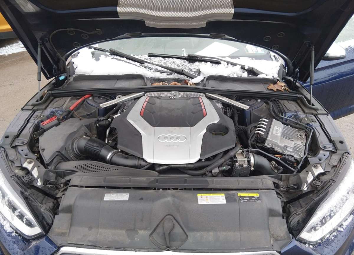 44382914_010.jpg