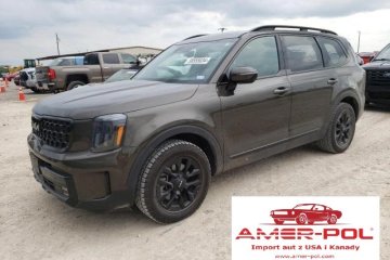 2024, 3.8L, Telluride, SX, po gradobiciu