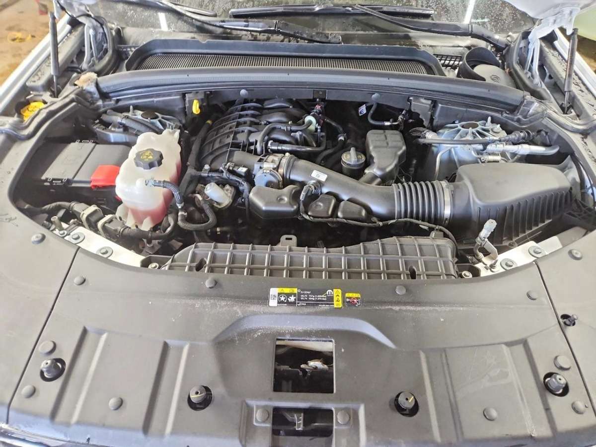 47597666_012.jpg