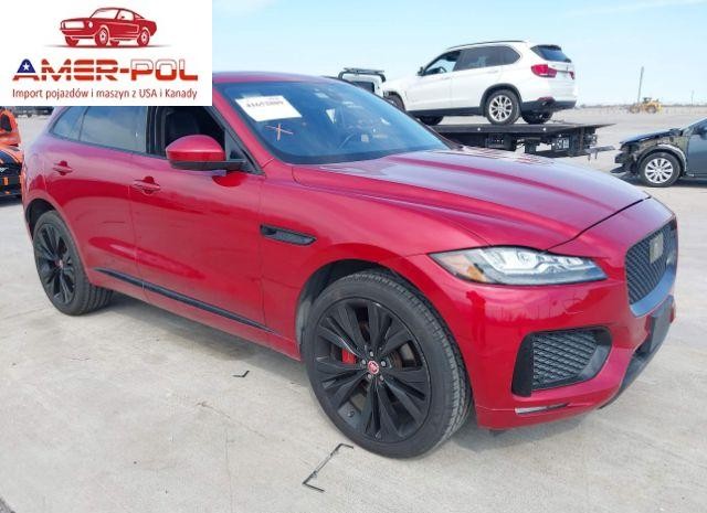 jaguar