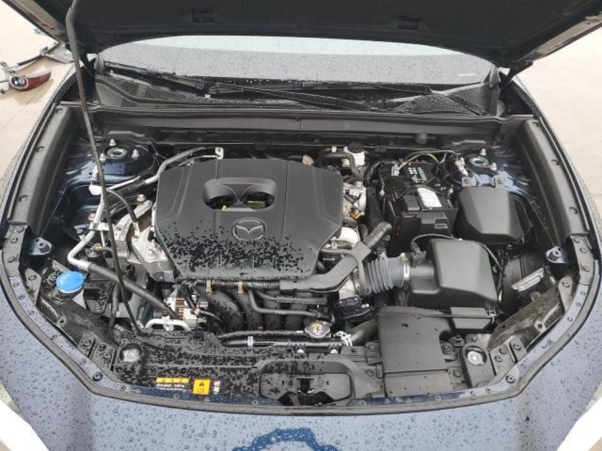 82993764_Image_12.jpg
