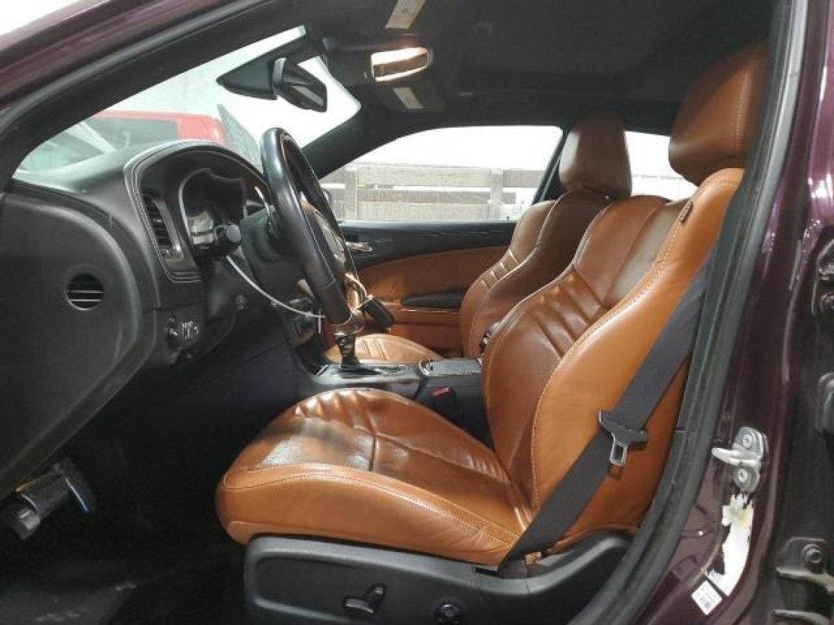 47857405_Image_7.jpg