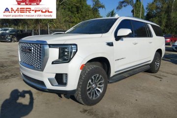 Denali 2021