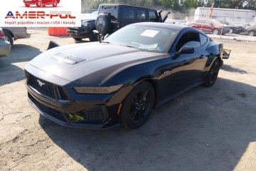 Gt Fastback 2026