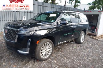 4wd Premium Luxury 2024