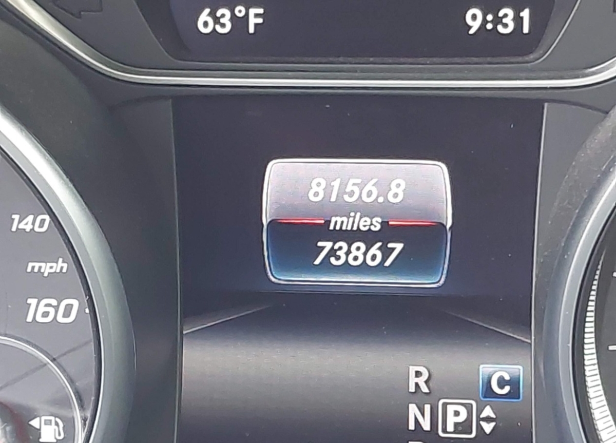 44068541_016.jpg