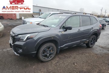 Wilderness 2022 2.5l