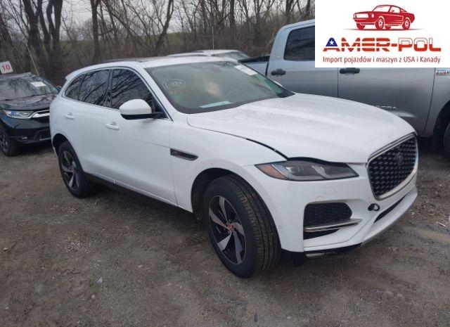 jaguar