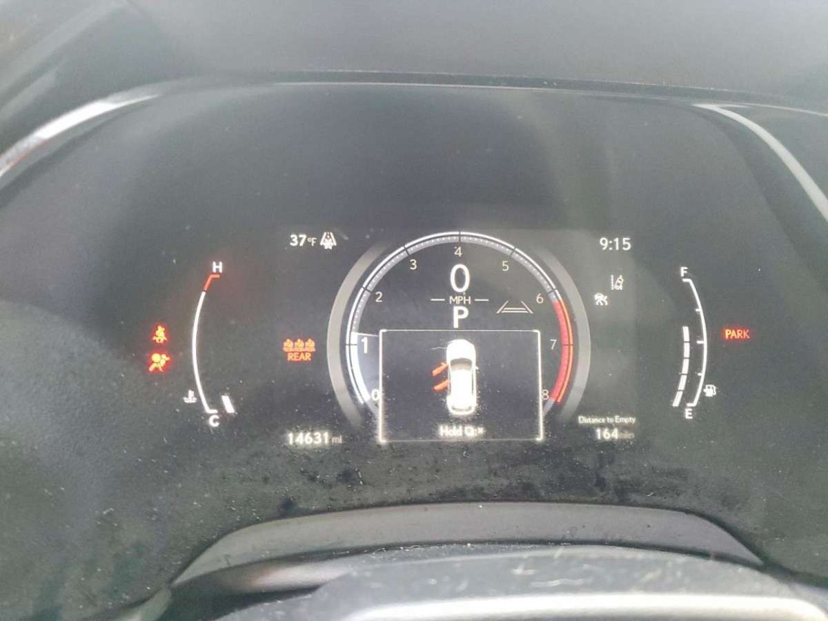 77366485_009.jpg