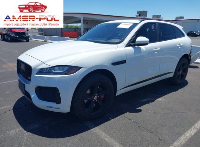 jaguar