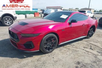Gt Premium Fastback 2024