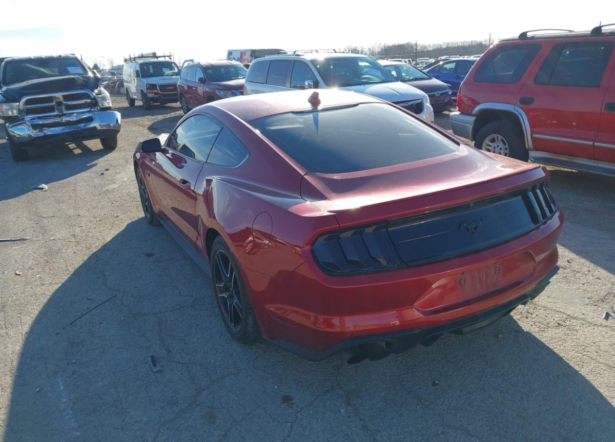 43799574_003.jpg