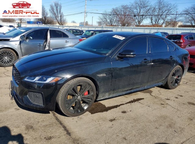 jaguar
