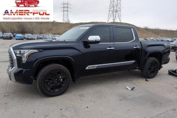 Crewmax Platinum 2024 3.4l