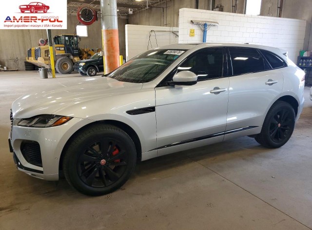 jaguar