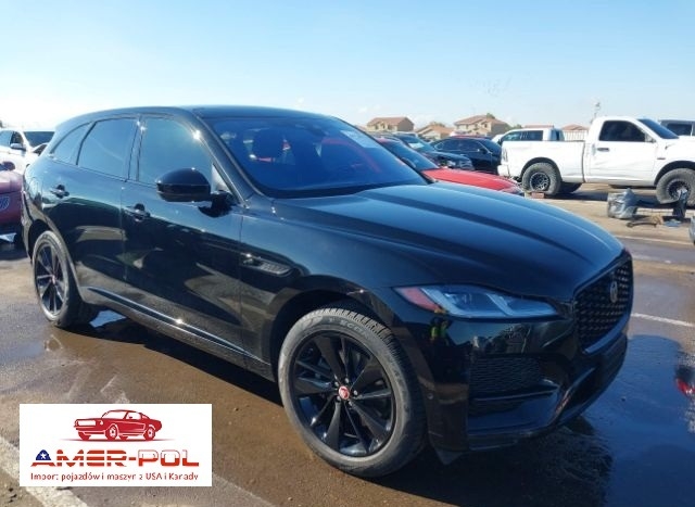 jaguar