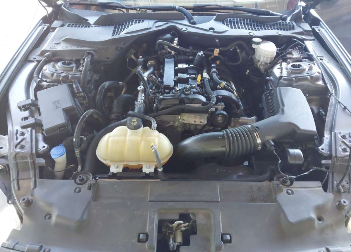 44595790_010.jpg
