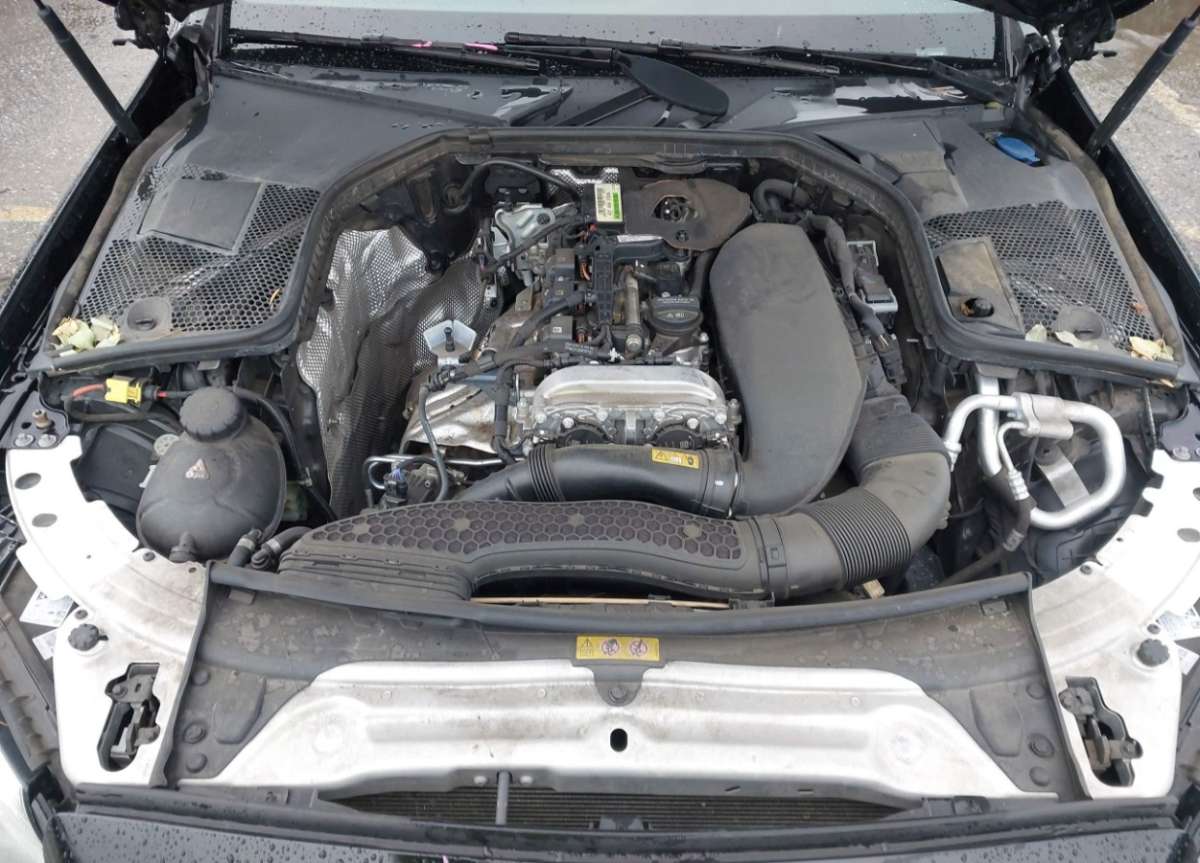 44404345_010.jpg