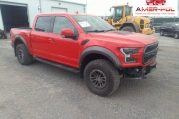 2019, 3.5L, 4x4, RAPTOR, od ubezpieczalni