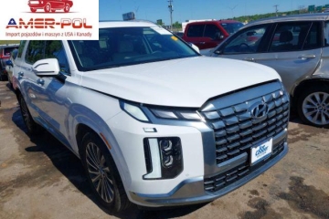 Calligraphy 2025 3.8l