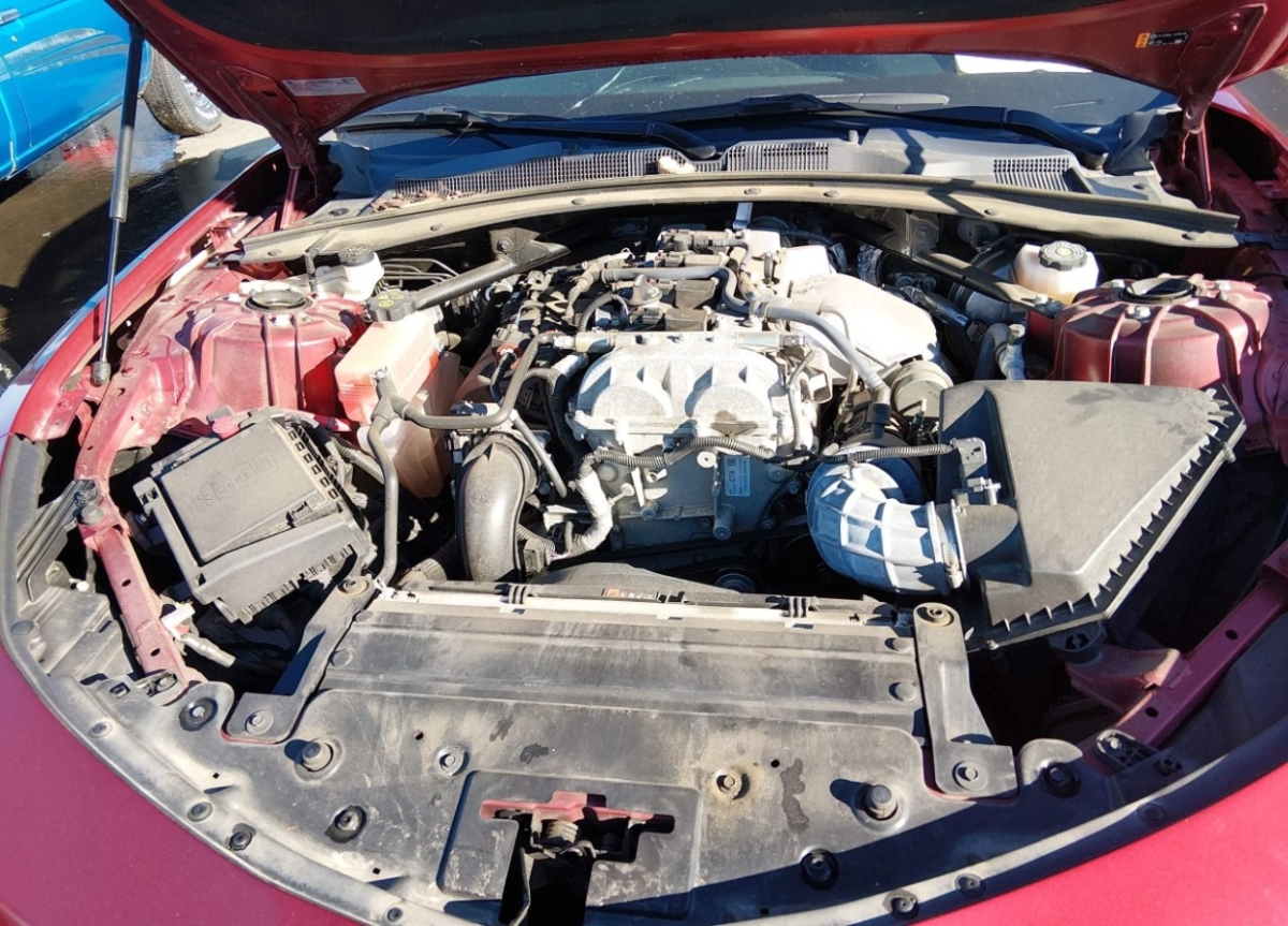 44099522_010.jpg
