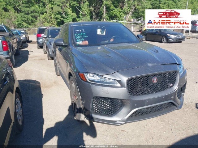 jaguar