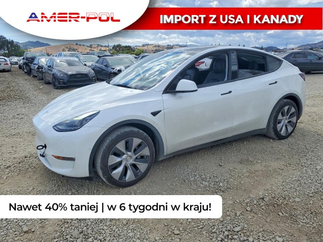 tesla