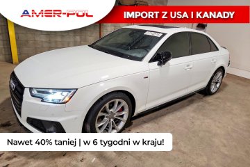 2019 PREMIUM PLUS