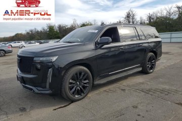 ESV Sport Platinum 2021