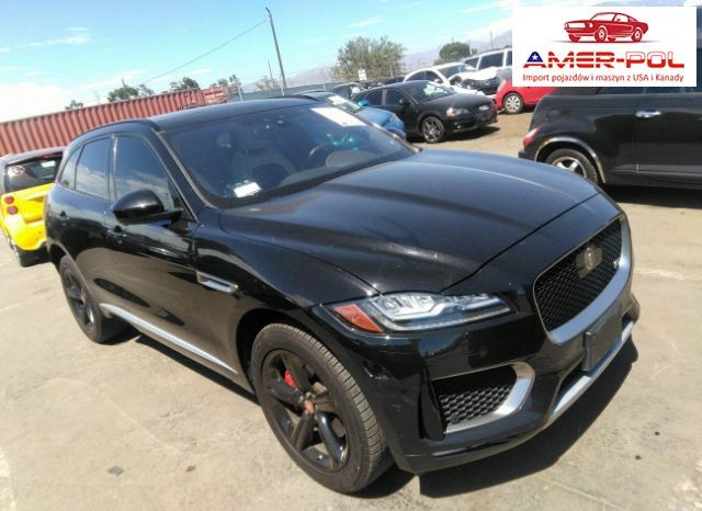jaguar