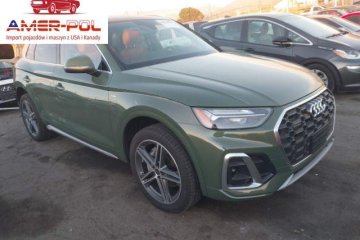 Premium 55 Tfsi E S Line Quattro S Tronic 2024 2.0l