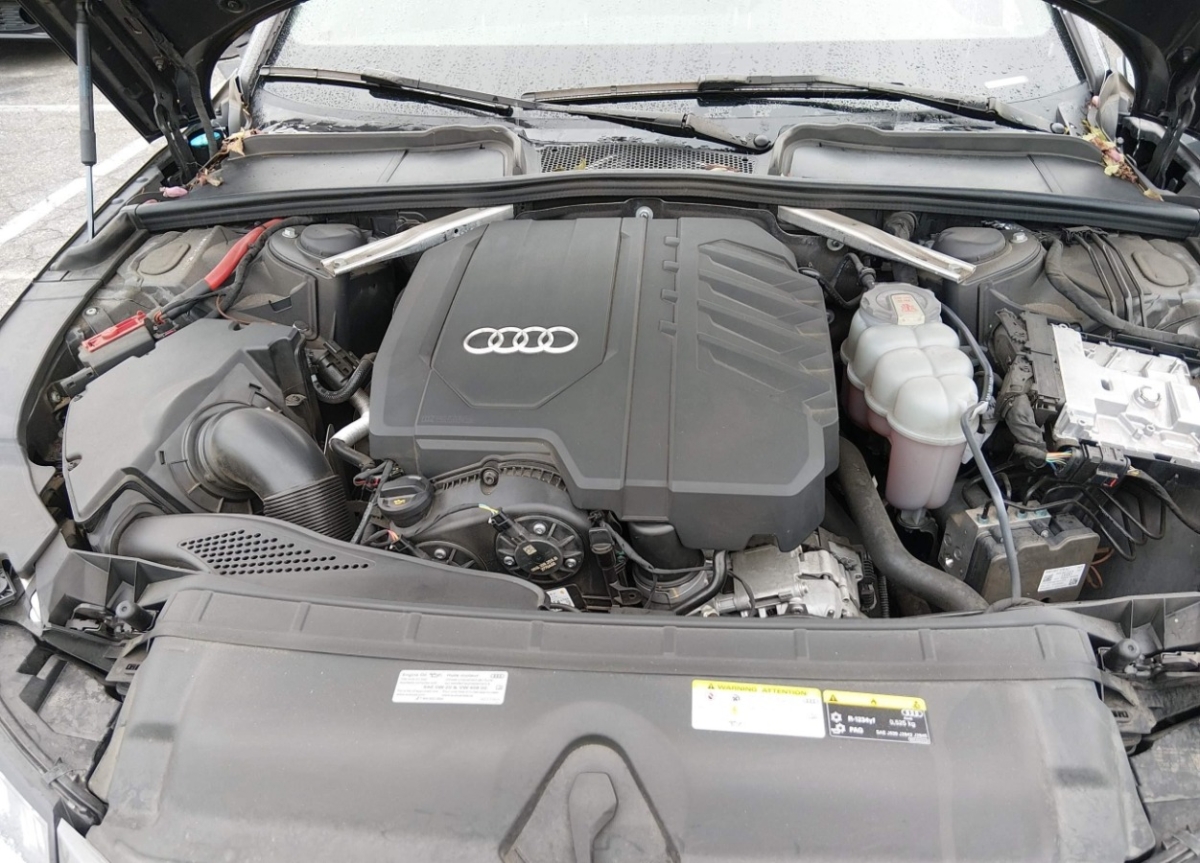 44436784_010.jpg