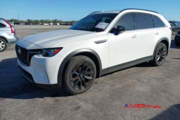 2025 r., 2,5L PHEV PREMIUM SPORT