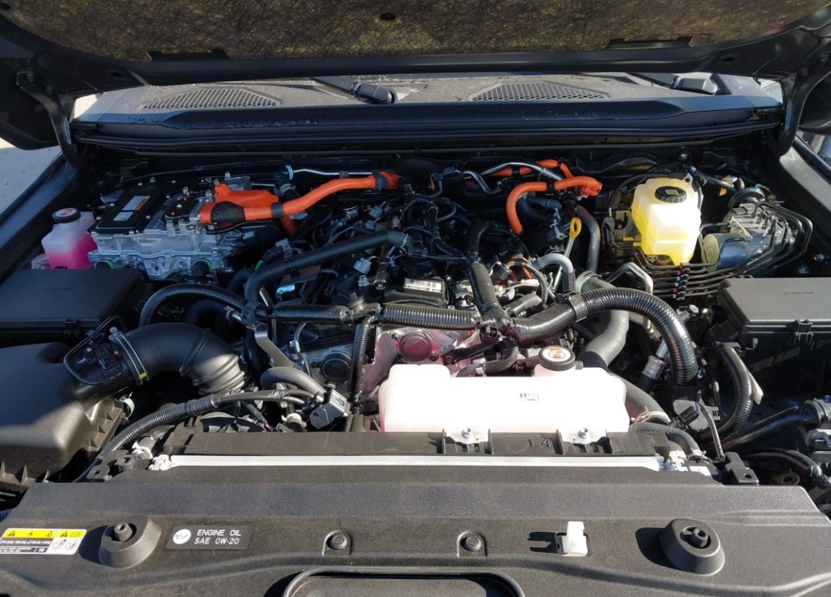 44185560_010.jpg