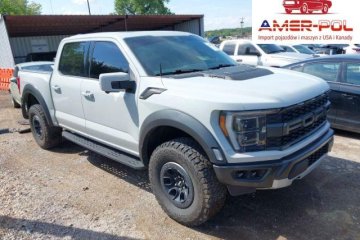 Raptor 2023 3.5l
