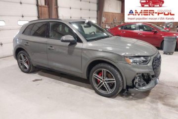 Premium Plus 55 Tfsi E S Line S Tronic 2024 2.0l