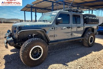 Rubicon 2021