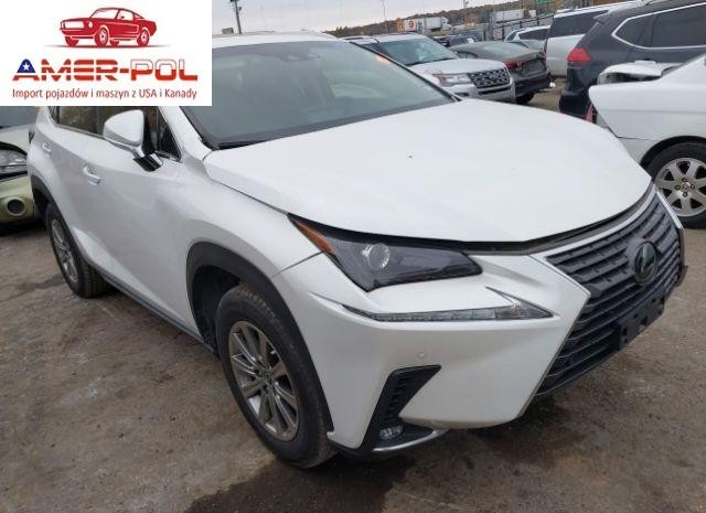 lexus