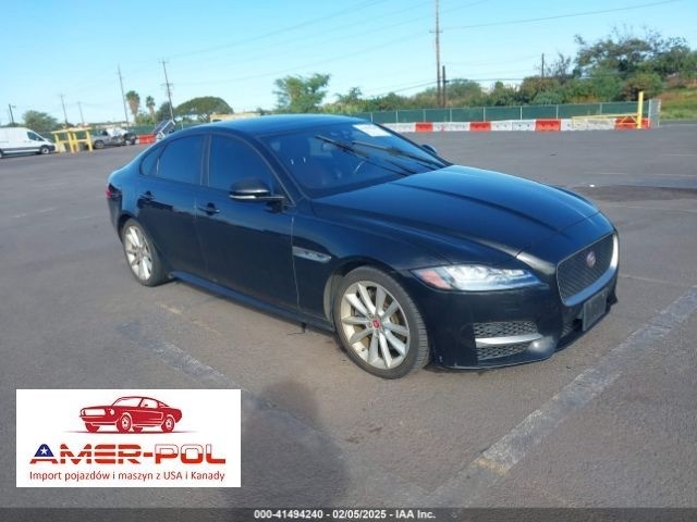 jaguar