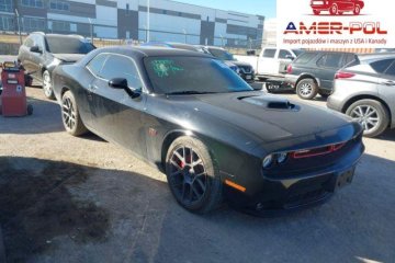 R/T Plus Shaker 2018