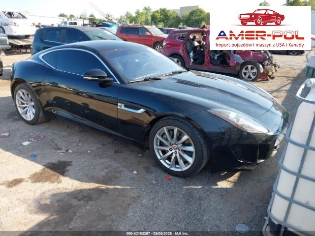 jaguar
