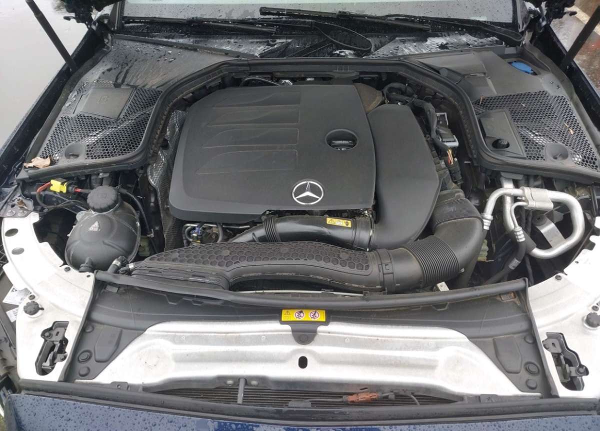 44563132_010.jpg