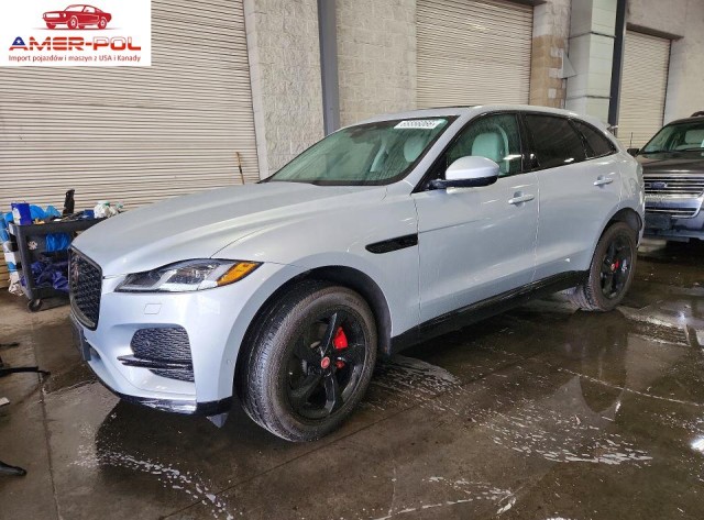 jaguar