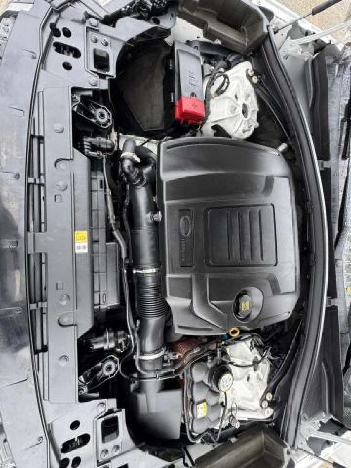 41336005_Image_7.jpg