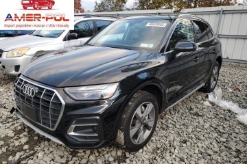 Premium Plus 40 2024 2.0L