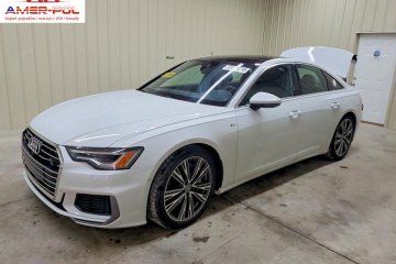 Premium Plus 2019