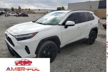 2023 TOYOTA RAV4 SE